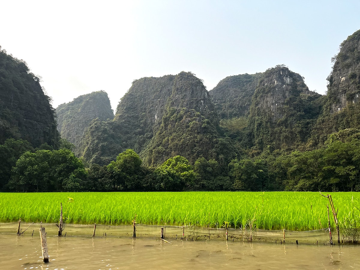 Vietnam assurance Assur Travel