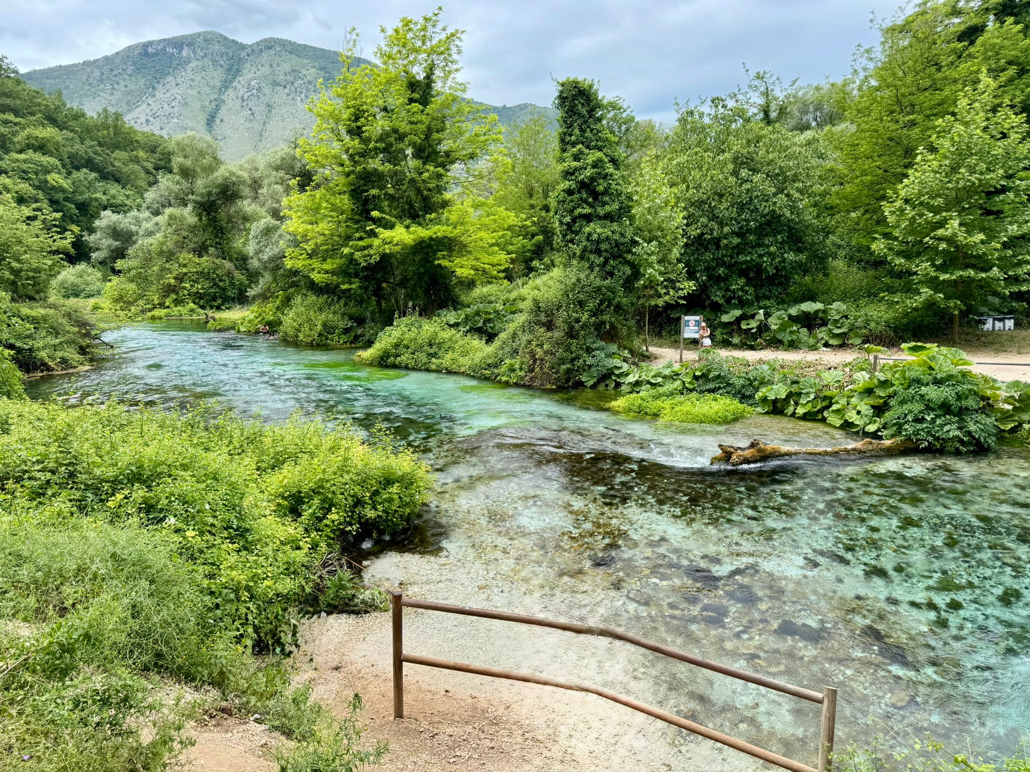 d48f384b 8b3b 409d 82f1 a4ffb0d57cc7